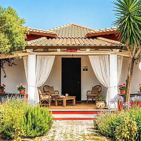Pet Friendly In Marina With Swimming Pool